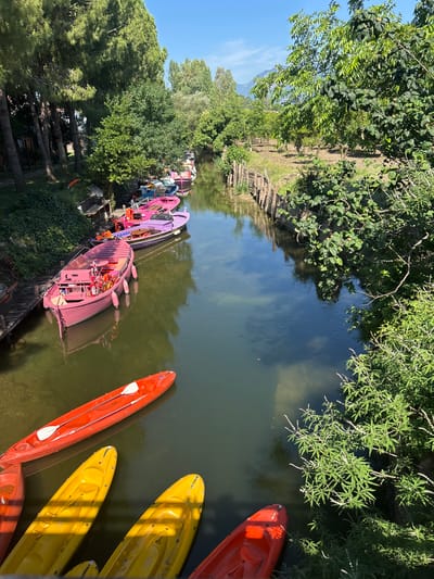 The image depicts a scenic waterway lined with lush green trees and vegetation. Several colorful kayaks and small boats are docked along the bank, appearing ready for use. Two bright red kayaks and two yellow kayaks are prominently featured in the foreground, with paddles visible in one of the red kayaks. Further down the bank, a line of pink and purple boats, some appearing to be pedal boats, are also docked. The water is calm and reflects the surrounding greenery and the bright blue sky, suggesting a clear and sunny day. The time of day appears to be morning or afternoon, given the quality of the sunlight. The setting evokes a sense of leisure and outdoor recreation. There is no visible text in the image.
