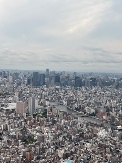 An aerial, eye-level shot captures a vast cityscape in Sumida, Japan, under an overcast sky. The dense urban sprawl is dominated by a multitude of buildings of varying heights and architectural styles, predominantly constructed from concrete and glass. Skyscrapers, many with dark facades, punctuate the skyline, interspersed with lower-rise residential and commercial structures. A wide river cuts through the city, spanned by multiple bridges that accommodate road traffic. Green spaces, including trees and what appear to be park areas, are visible in pockets throughout the urban fabric. The image exhibits no signs of human activity or visible people. The overall impression is one of a sprawling, modern metropolis under a muted, cloudy atmosphere.