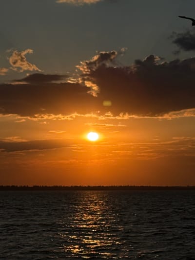 The image depicts a serene sunset over the Black Sea in Zatoka, Ukraine. The sun, a brilliant orb of orange, hangs low in the sky, casting a warm glow across the horizon. Wispy clouds, tinged with hues of orange and pink, drift across the sky, adding depth and texture to the scene. A lone bird, silhouetted against the vibrant sky, soars gracefully in the upper right corner of the frame. The calm waters of the sea reflect the fiery hues of the sunset, creating a shimmering, golden path across the surface. The distant shoreline is barely visible, a dark line against the illuminated sky, hinting at the presence of land beyond the water. The overall atmosphere is one of tranquility and natural beauty, capturing a moment of peaceful solitude at the end of the day.