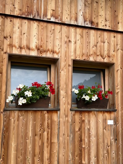 This is a vertical, eye-level shot of a wooden building facade in Sauris / Zahre, Italy. Two windows are visible, each adorned with a wooden planter box filled with white and red flowers. The wooden planks of the building are oriented vertically, showing natural wood grain and some darker staining in places. The windows reflect a cloudy sky. To the right of the right window, a small white electrical box is mounted on the wood. The scene appears to be outdoors and undisturbed.