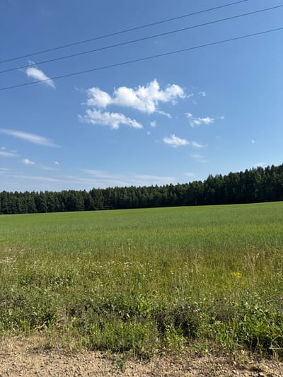 A wide shot captures a rural landscape on a sunny day. In the foreground, a dirt path is visible with scattered gravel and dry grass. Beyond the path, a field of tall green grass and wildflowers stretches out, with some patches of yellow and white blooms. A dense line of dark green trees forms the horizon, creating a backdrop for the field. Above the trees, a clear blue sky is dotted with a few fluffy white clouds. Three thin black power lines run horizontally across the upper portion of the sky, suggesting the presence of infrastructure nearby. The image appears to be taken from a roadside or open area overlooking the field and forest, likely in or near the village of Babka, Russia.