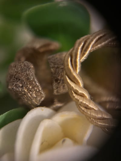 This is a macro photograph of a twisted, golden-colored cord next to two textured, brownish objects. The background is a blur of green and white, suggesting foliage and possibly white petals. The lighting highlights the texture and sheen of the cord and the rough surface of the brownish objects. There are no people or discernible elements of a city environment visible. The context provided regarding the city of Biržai, Lithuania, is not visually supported by the image content.
