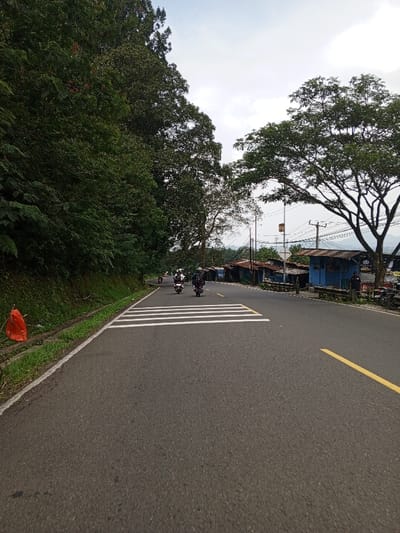 The image depicts a two-lane asphalt road in Ciloto, Indonesia, under an overcast sky. A white pedestrian crossing is present in the mid-ground. The right edge of the road is marked by a solid yellow line, and a dashed white line indicates the center beyond the crossing. Three motorcycles with riders are positioned on the road, traveling away from the viewer. The lead motorcycle carries one rider, while the two following motorcycles each carry two riders; all visible riders wear helmets.
On the left side of the road, a steep, heavily vegetated slope with dense green foliage and trees borders a drainage ditch. An orange plastic object is lodged within the vegetation near the ditch. On the right side, a row of approximately eight small, single-story structures with corrugated metal roofs and painted surfaces (including blue and brown) lines the road, appearing to be commercial stalls or kiosks. Several motorcycles are parked on the shoulder in front of these structures. Utility poles supporting numerous overhead power and communication lines are visible on the right. One individual stands on the right, near the parked motorcycles. A distant mountainous landscape is discernible beneath the cloudy sky.