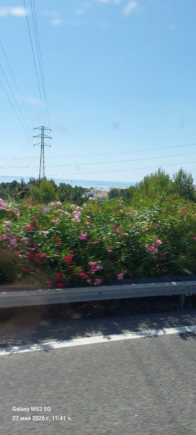 The image depicts a roadside scene in Vandellòs i l'Hospitalet de l'Infant, Spain. A paved road runs along the right side, marked with a white line. To the left of the road is a metal guardrail, beyond which lies a dense growth of greenery interspersed with pink and red flowers. Further in the background, an electricity pylon stands against a clear blue sky. Power lines stretch across the sky. Buildings and the sea are vaguely visible in the distance. The image was taken with a Galaxy M52 5G on May 27, 2026, at 11:41.