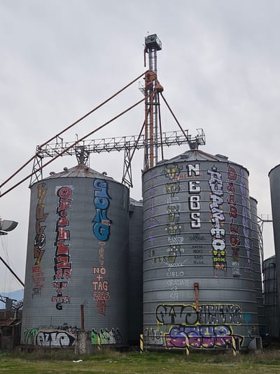 The image shows two large, corrugated metal silos covered in colorful graffiti. The silos are part of an industrial complex, with one silo featuring large vertical text in white with a black outline, spelling "NEBOS". Another silo has vertical text in red and blue, and a smaller silo to the right is partially visible. A tall metal structure with conveyor belts stands behind the silos, and a cloudy sky looms overhead. The ground in front of the silos is covered in dry grass and some scattered debris. The graffiti on the silos includes various tags and designs, some with intricate lettering and images. The scene appears to be in an industrial or abandoned area, with the overall impression being one of decay and urban art.