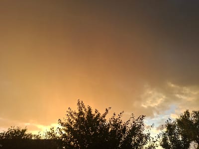 This is an outdoor, eye-level shot of the sky over Novostroyka, Russia, taken at dusk. The sky is a gradient of warm colors, transitioning from a bright, hazy orange on the left to a darker, muted brown-gray on the right. Wispy, light-colored clouds are visible in the lower portion of the sky, particularly on the right side, where glimpses of a pale blue sky are also present. Silhouetted against the sky are the dark green tops of trees and foliage. The trees are densely leafed, with the branches and leaves forming intricate patterns against the colorful backdrop. The overall impression is of a dramatic sunset or a sky before a storm.