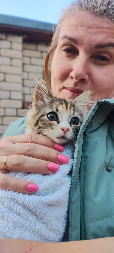 A woman in a teal jacket holds a small, multi-colored kitten wrapped in a light blue towel. The kitten has large, dark eyes and appears to be peeking out from the towel. The woman's hands, with bright pink nail polish, are visible supporting the kitten. A gold ring is on her left ring finger. In the background, a brick wall and a blue sky are visible, suggesting an outdoor setting. The context provided does not place this scene in Малая Листовка, Russia; it appears to be a generic outdoor location.