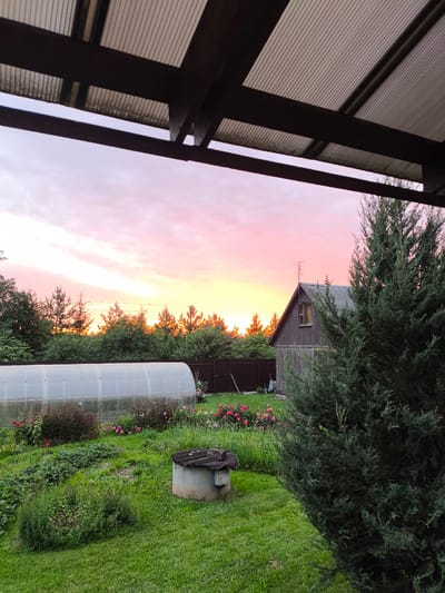 A rural backyard scene at sunset is captured from under a covered porch. The sky is painted with soft hues of pink, orange, and yellow, indicating the time of day. In the foreground, the edge of a wooden porch with a corrugated plastic roof is visible. Beyond the porch, the backyard unfolds with lush green grass, a small garden area with blooming roses in vibrant pink and red, and a large, translucent greenhouse. A concrete well with a wooden cover sits in the middle of the lawn. Further back, a rustic wooden house with a dark roof and a small window is nestled amongst a line of evergreen trees. A dark brown fence runs along the property line, and a silhouette of a wheelbarrow is visible near the fence. A tall evergreen tree dominates the right side of the frame, partially obscuring the house and the sunset. The overall atmosphere is peaceful and serene, characteristic of a quiet evening in a rural setting. No people are visible in the image, and no text is present. The location context is Sel’khoztekhnika, Russia.