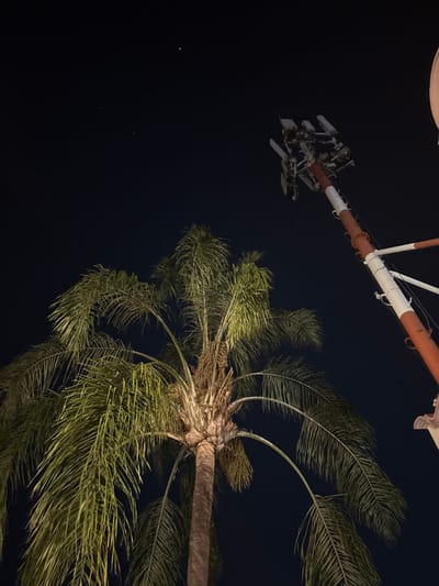 A low-angle shot captures a nighttime scene in Chamilpa, Mexico. The dark sky, dotted with a few faint stars, serves as the backdrop. Dominating the left and central frame is a tall palm tree with a textured trunk and numerous long, green fronds, which are illuminated from below by an unseen light source. To the right, a cellular communication tower extends upwards, featuring alternating red-orange and white horizontal bands along its structure. Multiple antennas and associated equipment racks are mounted at the top of the visible portion of the tower. No individuals, discernible actions, or interactions are present in the scene.