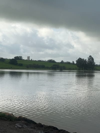 The image displays a landscape in Oumazza, Morocco, featuring a body of water in the foreground and midground, backed by green hills under an overcast sky. The water surface is rippled and reflects the grey sky. Small green vegetation stalks are visible emerging from the water in several areas. The immediate lower-left foreground shows a dark, muddy bank with scattered rocks. The far bank consists of rolling green hills covered with grass, dark green bushes, and clusters of trees. A prominent, tall, light-colored rectangular tower stands on the crest of a hill towards the left of the frame. A cluster of taller trees, consistent with eucalyptus, is situated near the water's edge on the right-hand side of the far bank, with their reflections visible in the water. Faint horizontal lines, consistent with utility wires, extend across the background above the hills. The sky is uniformly cloudy and predominantly grey, with darker, denser clouds occupying the upper portion of the frame. No individuals or specific actions are visible.