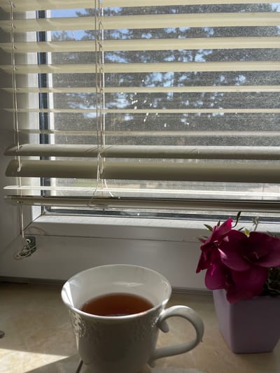 The image shows a window with closed blinds. Through the blinds, trees and a bright sky are visible. On the window sill, there's a white mug filled with a dark liquid, presumably tea or coffee, alongside a purple potted plant with large pink flowers. The scene is brightly lit by sunlight. There is no indication in the image that this image was taken in Sungurlare, Bulgaria.