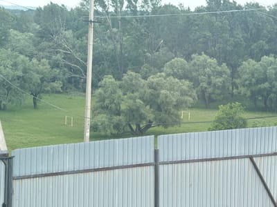 The image depicts an outdoor scene with a gray corrugated metal fence in the foreground. Behind the fence, a grassy field is visible, dotted with trees. A tall, slender utility pole stands on the left side of the field, with wires stretching across the frame. Further in the background, a dense forest occupies the horizon. In the middle ground of the field, there is a single, large, leafy tree with a distinctive, gnarled trunk. To the right of this tree, a square goalpost, possibly for soccer, is set up in the grass. Another similar goalpost is visible further to the left in the field. The sky is overcast, suggesting a cloudy day. There are no people or animals visible in the scene. The overall impression is a somewhat rural or park-like setting, possibly a clearing within or near a wooded area. The time of day appears to be daytime, but the overcast sky makes it difficult to determine precise lighting conditions. The location cues of the goalposts and the utility pole suggest an area that is used for recreation or is on the outskirts of a populated area.