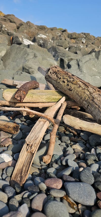 The image depicts a close-up, low-angle view of a rocky shoreline with various pieces of weathered driftwood. The foreground is filled with smooth, grey and reddish-brown pebbles, interspersed with several logs and branches of driftwood. One prominent piece of driftwood in the center is a pale, splintered plank. To the right, a large, rough log with dark markings rests on other pieces of wood. In the middle ground, a curved, rusty metal object is visible, possibly a piece of old mooring or debris, resting on a lighter colored plank. Behind the driftwood and pebbles, a large formation of grey, angular rocks dominates the background, extending upwards towards a clear blue sky. The lighting suggests it is daytime with the sun casting shadows on the objects. The scene is located on the coast of Girvan, United Kingdom. There are no people or animals visible in the image.