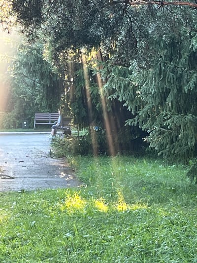 The image depicts an outdoor scene in what appears to be a park or wooded area. Sunlight streams through the dense foliage of evergreen trees, creating distinct rays of light that illuminate the ground. In the mid-ground, a person is seated on a wooden park bench. The person is facing to the left of the frame and is wearing a light-colored shirt and patterned shorts. Near the bench, there are some dark objects on the ground, possibly bags or personal belongings. The foreground is covered in green grass, with some patches of sunlight dappled across it. The overall environment suggests a tranquil, natural setting, potentially within the city of Karagaiskii, Russia, given the context provided.