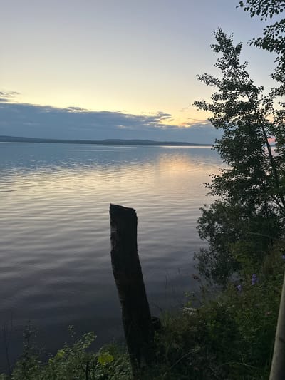 This is a landscape photograph taken at sunset over a large body of water. The sky is a gradient of pale yellow, pink, and light blue with some scattered clouds. The water is calm with gentle ripples reflecting the colors of the sky, creating a serene and peaceful atmosphere. In the foreground on the right side of the image, there is a cluster of dense green foliage and some small purple flowers. A dark, weathered piece of wood, possibly a remnant of a dock or a fallen tree, stands vertically in the water near the shore. The far bank of the water is visible as a distant, hazy line of hills. The overall impression is one of natural beauty and tranquility at dusk. The location is specified as Gorah, Russia, and the time of day is sunset. There are no people or animals present in the image, and no specific actions or interactions are depicted. The environment is a natural outdoor setting characterized by water, vegetation, and sky.