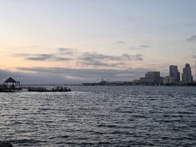 This is a wide-angle, medium shot photograph taken from the shores of Coronado, California, United States of America. The scene depicts the San Diego skyline across the bay at dusk. The water in the foreground is dark and rippling, reflecting the muted colors of the sky. In the mid-ground, a pier extends out into the water, featuring a gazebo and lampposts. Further across the bay, a large aircraft carrier is moored, and the city skyline is visible with its various buildings. The sky is a soft gradient of pale blue and pink, with scattered clouds, indicating the time of day is either sunrise or sunset. The overall mood is tranquil and serene.