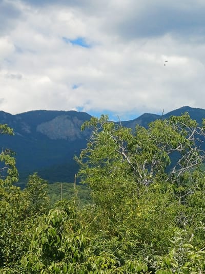 The image shows a landscape with mountains in the background and lush green trees in the foreground. The sky is partly cloudy with some patches of blue visible. Two small, light-colored objects are visible in the sky, possibly distant aircraft or drones. The overall scene appears to be a natural, undeveloped area, likely in a rural setting. The image does not depict any specific elements that would identify it as being located in Pushkino, Ukraine.