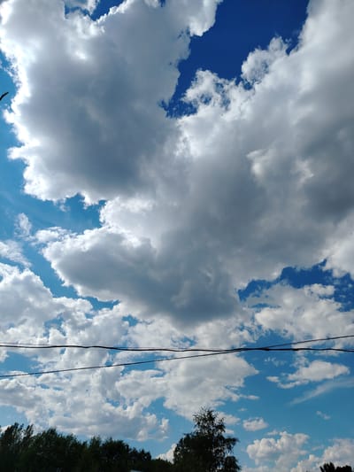 The image shows a sky with cumulus clouds over a line of trees. Two dark horizontal power lines are visible across the middle of the frame. The sky is bright blue with varying densities of white and gray clouds, some of which are illuminated by sunlight. A silhouette of a bird is visible in the upper left corner. The bottom of the image features a dense line of green trees, with a prominent birch tree on the left side. This scene appears to be in a rural or semi-rural area, potentially in or near Жернов ауылдық округі, Kazakhstan, given the context.
