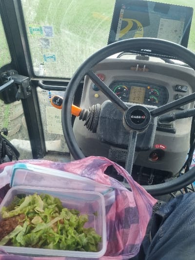 An interior view of a tractor cab is depicted in an agricultural setting near Dobrevo, Bulgaria. A black CASE IH steering wheel dominates the center, with an orange control lever positioned to its right. Behind the steering wheel, the dashboard features illuminated analog gauges for engine RPM (displaying approximately 1494), fuel level, and temperature, alongside a digital screen showing a speed of 15.0 km/h and other data. Above the dashboard, a tablet is mounted, displaying a screen with a yellow path overlaying a green background, indicative of a field mapping or GPS system. Through the front windshield, a blurred green agricultural field is visible. The dirty driver's side window displays multiple stickers with the Cyrillic text "КЕМ". In the foreground, a clear plastic food container, with its light blue lid placed alongside it, contains several brown patties topped with torn green lettuce. A crinkled, multi-colored plastic bag rests adjacent to the container. The lower right corner reveals a segment of a leg clad in blue jeans, indicating a person is seated in the driver's position.