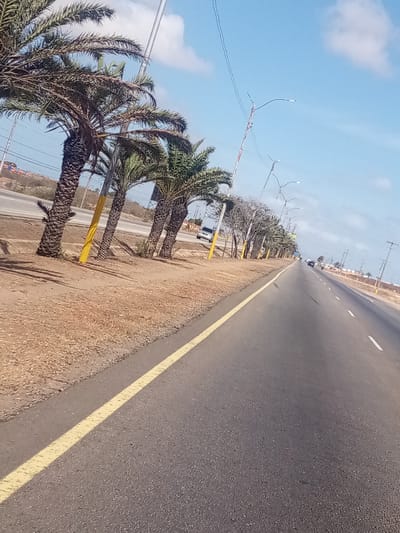 The media file captures a wide-angle view of an asphalt road in La Cruz del Pastel, Venezuela, under a bright, clear blue sky with scattered white clouds. The perspective is slightly tilted, looking down the length of the road toward the horizon.

On the left side of the road, a continuous solid yellow line marks the edge of the paved surface, bordering a dry, sandy-brown median strip. A row of several palm trees with rough, textured trunks stands along this median, casting minimal shadows. Behind these palm trees, another road or highway is visible, and a white car can be seen in the distance. Several utility poles with streetlights extend along the median, some featuring distinctive yellow paint on their lower sections. Overhead, numerous wires stretch across the scene, connecting the utility poles.

The main road itself has a smooth asphalt surface with some visible aggregate. Further down the road, white dashed lines are visible, indicating lanes. On the right side of the road, the landscape mirrors the left, with more dry, dusty ground and additional trees and utility poles extending into the distance. A few vehicles are visible in the far distance on the main road. The overall impression is that of a hot, sunny day in a somewhat arid tropical or subtropical region. No specific human activity or visible text is discernable.