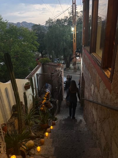 The image depicts an outdoor, descending stone staircase in Guanajuato City, Mexico, during twilight or early night. Two individuals, both appearing female, are walking down the stairs, facing away from the camera. The foreground individual wears a dark, long-sleeved top and dark pants, with a dark shoulder bag. The second individual is partially visible behind the first.

To the left of the staircase, a white-painted wall with vertical stripes supports a terraced garden area. This area contains multiple cacti of varying heights, agave plants, and other potted succulents. A line of small, orange-glowing lights (likely LED candles) illuminates the edge of the steps alongside the garden. A dark metal gate is visible mid-left, leading into a recessed space, above which hangs a garland of orange, marigold-like flowers.

To the right of the staircase, a stone wall, possibly constructed from local cantera stone, features a red-painted trim line. Several vertical wooden-framed windows or doors with glass panes reflect interior light. A dark metal handrail runs down the right side of the stairs.

At the bottom of the stairs, a narrow paved street is visible, with dark-colored parked vehicles. The background reveals dense green foliage from trees, a prominent utility pole with numerous overhead wires and a bright street light, and distant mountains under a pale, overcast sky. The overall scene suggests an evening descent through a residential or mixed-use urban area characterized by dense construction and natural elements.