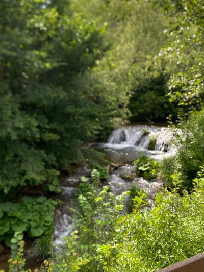 The image depicts a small waterfall cascading down rocks into a flowing stream. The scene is surrounded by lush green foliage, including trees, bushes, and large-leafed plants. Sunlight filters through the leaves, creating dappled lighting. The water appears clear and is in motion, with white foam at the base of the waterfall. The overall impression is a natural, serene outdoor environment. The specific location within Paracin Municipality, Serbia, is not determinable from the image alone.