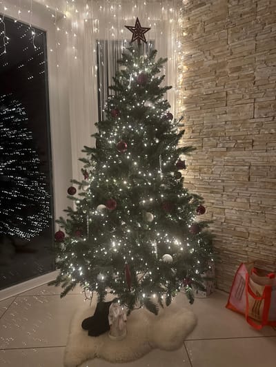 A Christmas tree adorned with white and red ornaments, along with strands of white lights, stands indoors. A star tops the tree. A furry rug is at its base, with a white figure placed on it. The scene is reflected in a window below. A textured stone wall forms the backdrop, with more white string lights near the top of the window frame. A red and white bag is situated in the upper right corner.