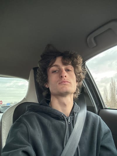 A young man with curly hair sits in a car, looking into the camera. He wears a black hooded sweatshirt and a seatbelt. The car's interior is visible, including a sunroof and headrest. The weather outside appears overcast. The image is rotated, placing the man at an angle.