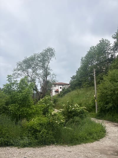 The image depicts a rural landscape with a winding dirt road in the foreground. Lush green vegetation, including tall grass and various trees and bushes, lines the road and covers a hillside. A white building with a red-tiled roof is visible on the upper part of the hillside, partially obscured by trees. A wooden utility pole with wires runs along the right side of the road, ascending the hill. The sky is overcast, suggesting a cloudy day. The scene is likely located in or near Momchilovtsi, Bulgaria, a region known for its natural beauty and rural villages. There are no people or animals visible in the image.