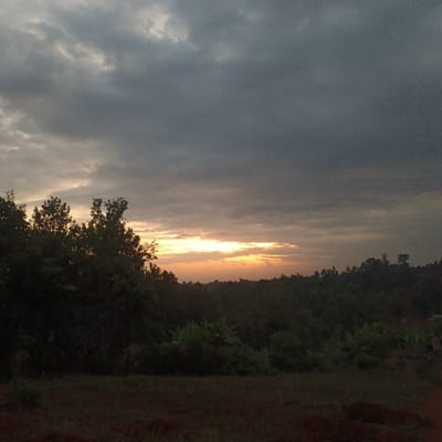 This image captures a landscape scene in Mururi, Kenya, at what appears to be either dawn or dusk. The sky occupies approximately the upper two-thirds of the frame and is predominantly covered by heavy, dark grey stratocumulus clouds. A horizontal band of orange and yellow light is visible on the horizon, indicating the position of the low-lying sun breaking through the cloud cover. Below this illuminated horizon, a dense line of dark green vegetation, including trees and smaller leafy plants (some resembling banana plants), extends across the midground. The foreground consists of dark, uneven earth, appearing to be disturbed soil or uncultivated ground. No human figures, animals, or man-made structures are distinctly visible within the frame. The overall lighting is dim, emphasizing silhouettes and muted colors.