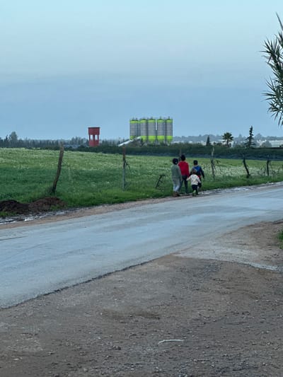 A sideways view depicts a landscape with a road to the right, transitioning to a field with green grass and scattered white flowers. Five figures are clustered at the edge of the field. In the background, there are several large, cylindrical structures with green accents and a red, small structure. A fence runs along the field edge. The sky is overcast. A palm tree frond is visible in the upper left corner.