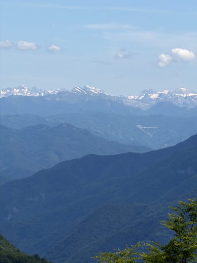 This image captures a panoramic view of the mountainous landscape near Dragovića Polje, Montenegro. The scene is characterized by multiple layers of mountains receding into the distance under a clear, light blue sky with scattered small white cumulus clouds. In the far background, a prominent range of rugged peaks, distinguished by bright white snow patches, stretches horizontally. These distant mountains appear light blue-grey due to atmospheric haze. Successive layers of closer mountains are densely forested, exhibiting progressively darker shades of blue-green towards the foreground, illustrating atmospheric perspective. On one of the mid-distance slopes, a terraced, light-colored man-made structure or disturbed earth is observable. The immediate foreground features vibrant green foliage from a tree branch on the lower right and darker green forest on the lower left. No human figures, objects of personal possession, or explicit actions are discernible. The environment is a natural, high-altitude mountainous terrain.