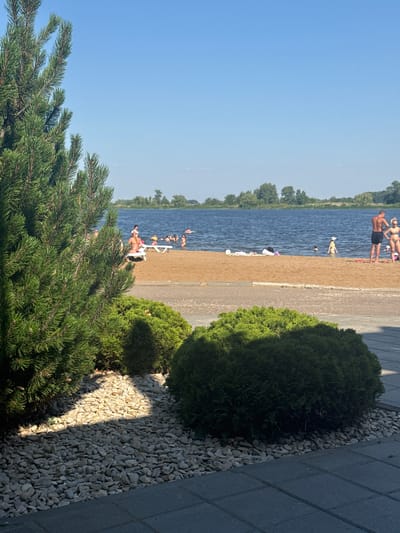 The image captures a sunny day at a waterfront location, likely a beach or recreational area in Vodnik, Russia. In the foreground, a large coniferous tree with dense green needles dominates the left side, casting a shadow on a bed of light-colored pebbles. To the right of the pebbles, manicured green bushes are visible.
Beyond the immediate foreground, a sandy beach stretches towards a wide body of blue water. Several people are present on the beach and in the water. On the sand, some individuals are lying on lounge chairs or towels. In the water, people are swimming and wading. A couple is standing near the water's edge on the right side of the image, with a man and a woman both in swimwear. The water appears calm, and the sky above is a clear, bright blue. The background shows a line of trees along the opposite shore, suggesting a natural landscape surrounding the body of water. The overall scene depicts a leisurely summer day at a popular outdoor spot.