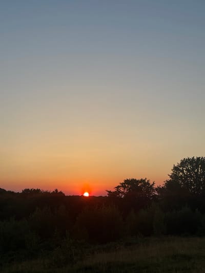 The image depicts a sunset over a rural landscape, likely in Rokosovo, Ukraine. The sky transitions from a pale blue at the top to a gradient of warm orange and red hues near the horizon, where the sun is a bright orange disc, partially obscured by the treeline. Silhouetted against the vibrant sky are dense trees and bushes, forming a dark, undulating horizon. The foreground consists of a grassy field, also appearing in shadow, suggesting the low angle of the setting sun. No people or specific objects are discernible in the scene.
