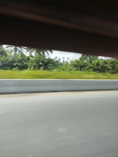 The image depicts a roadside view, likely from a moving vehicle, in Odiderengwaji, Nigeria. A grey, horizontal barrier, possibly a sound barrier or guardrail, runs across the lower half of the frame. Beyond the barrier, lush green vegetation, including palm trees and other tropical foliage, blurs due to motion. The sky above is overcast. The foreground consists of a grey, textured surface, representing the road. A dark, blurry object, likely part of the vehicle's interior, frames the top of the image.