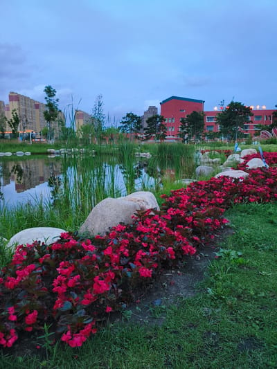 This is a ground-level, wide-angle outdoor photograph taken in the city of Jiguan District, China. The scene depicts a park area with a pond in the foreground and a body of water reflecting buildings and trees in the background. A row of vibrant red flowers with dark green leaves is planted along the edge of the water, interspersed with several large, smooth, light-colored rocks. Tall green reeds and grasses grow along the water's edge.
In the background, across the pond, there are several modern, multi-story buildings. To the left, a tall, light-colored apartment building with yellow and red accents dominates the skyline. To the right, a lower, red building with multiple windows and a darker roof appears to be a school or institutional building, with Chinese characters visible on its facade. Trees are scattered throughout the background, some appearing as dense foliage and others as more spaced-out specimens. The sky above is overcast with a soft blue hue, indicating it might be dusk or a cloudy day. The overall impression is of a well-maintained public space with a blend of natural elements and urban architecture. There are no people visible in the photograph.