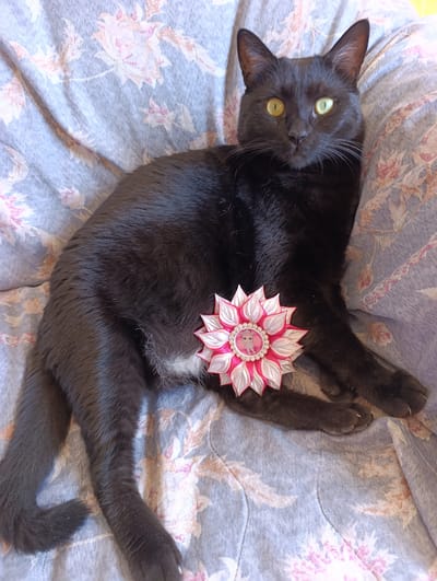 A black cat with green eyes is lying on a floral patterned blanket. The cat is facing the camera, and its body is partially obscured by the blanket. In front of the cat, there is a pink and white flower-shaped brooch with small pearl-like beads around the edge. The brooch also has a small image of a cartoon character in the center. The background is a soft focus floral pattern in shades of blue, pink, and beige. The scene appears to be indoors, possibly in a home, given the blanket and the brooch. The lighting suggests it is daytime. There is no visible text in the image.