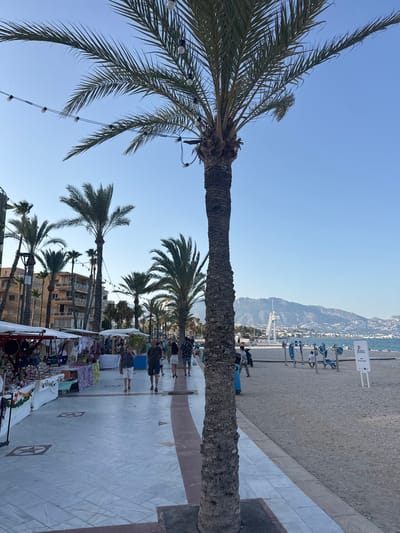 The image depicts a sunny daytime scene along a beach promenade in Pla Parcial Platja, Spain. In the foreground, a large palm tree dominates the left side of the frame, with its fronds reaching towards the clear blue sky. String lights are visible draped from the palm tree. To the right of the palm tree, a paved walkway with a marble pattern runs alongside a sandy beach.

Along the promenade, several people are strolling, browsing stalls set up for a market. These stalls display a variety of items, including clothing and decorative goods. Further down the promenade, outdoor exercise equipment is set up on the beach. In the background, a mountain range rises behind the town and the sea. The weather appears to be clear and warm, typical of a coastal environment.

Visible text on a white sign near the exercise equipment reads: "AYUNTAMIENTO DE BENIDORM" and "PLAYA ACCESIBLE". The overall atmosphere is relaxed and leisurely, suggesting a popular tourist destination on a pleasant day.