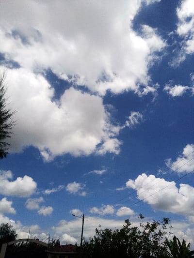The image depicts an outdoor daytime scene in the city of Nachu ward, Kenya. The upper two-thirds of the frame are dominated by a clear blue sky filled with numerous white cumulus clouds of varying sizes. The lower third reveals ground-level elements: dark, silhouetted foliage from trees and bushes, a black street light pole with a luminaire positioned centrally, and at least three black electrical power lines extending horizontally across the mid-right. A section of a building featuring a reddish-brown tiled roof is visible below the street light, alongside a partial view of a light-colored archway structure on the far lower left. No individuals, overt actions, or interactions are visible.