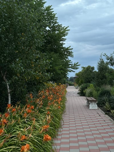 The image depicts a paved pathway in Yaroslavskaya, Russia, flanked by lush greenery and blooming orange flowers. The pathway, laid with rectangular red and grey pavers, curves gently into the distance, leading towards a small gazebo partially visible amongst the trees. To the left of the path, a dense row of vibrant orange daylilies stands tall against a backdrop of green foliage, including a striking birch tree with its white, textured bark. On the right side of the path, an ornate white stone bench with a weathered wooden seat offers a place for repose. The environment appears serene and well-maintained, suggesting a park or garden setting. The sky above is overcast with muted gray clouds, indicating a cloudy day. No people are present in the scene.