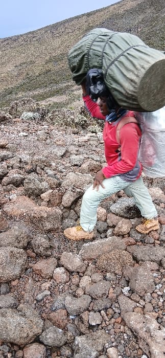 A single individual is depicted traversing a steep, rocky mountain path at Gilman's Point, Tanzania. The person, positioned facing slightly right and moving uphill, wears a long-sleeved red shirt, light-colored pants, and tan hiking boots with yellow laces, and a dark neck gaiter. A large, olive-green cylindrical bundle, secured with black straps, is carried on their head and upper back, with a black object providing padding between the head and the load. A secondary bundle, wrapped in white or clear plastic, is visible extending downwards from the primary load on the individual's back. The individual's left hand is placed near their bent left knee as they step over the uneven ground. The terrain consists of various sizes of dark grey, reddish-brown, and black volcanic rocks and gravel. Sparse, low-lying scrub vegetation is visible among the rocks in the foreground and covers the ascending, barren mountain slope in the background under an overcast sky.