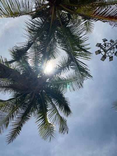 This is a low-angle, outdoor shot of palm trees against a hazy, pale blue sky. The sun is shining brightly through the fronds of the trees, creating a lens flare effect and partially obscuring the details of the foliage. To the right of the frame, a large, circular spotlight fixture is visible, attached to a pole. The image appears to have been taken in Hoi An, Vietnam, likely in an area with palm trees and outdoor lighting, possibly a resort or public space near the coast.