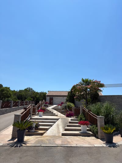 A long, outdoor, stone staircase with a concrete ramp beside it ascends towards a building. The staircase is decorated with potted red and purple flowers. Wooden railings line both sides of the stairs and ramp. The building at the top appears to be a single-story structure with a tiled roof. Trees and vegetation surround the area. The sky is clear and blue. The image does not provide specific details about the city of Zagora, Montenegro.