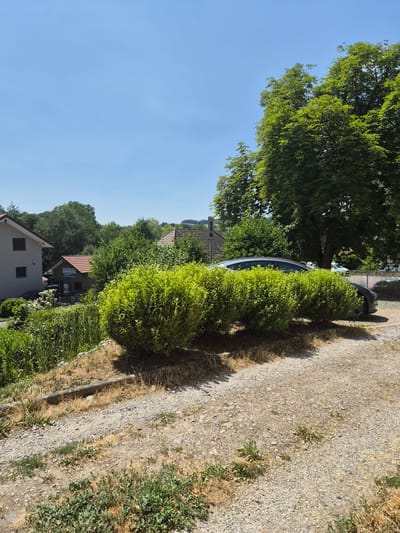The image depicts a sunny outdoor scene in Belfaux, Switzerland. A dark grey car is parked on a gravel driveway, partially obscured by a row of vibrant green bushes. In the background, several residential buildings with red-tiled roofs are visible, surrounded by lush trees and foliage. The sky is clear and blue. A sign is visible on one of the buildings, indicating it is a dental center. A charging station for electric vehicles is also present on the left side of the frame. The overall environment suggests a residential or small commercial area in a somewhat rural or suburban setting.