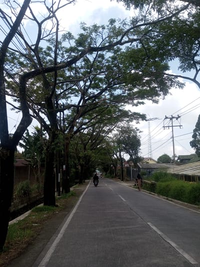 A slightly asymmetrical medium-angle view depicts a paved road running through a residential area, likely within Xayabury District, Laos. The road, marked with a white line, is flanked by trees with dense foliage that create a partial canopy overhead.
On the left side of the road, a narrow concrete drainage ditch runs parallel to a weathered fence partially obscured by vegetation. Several tree trunks are visible. On the right side, vegetation grows alongside the road, adjacent to houses and structures.
A person is walking on the right side of the road, away from the viewer. Farther down the road, a motorcyclist is driving in the same direction. Utility poles and communication towers are visible in the distance. The sky is partly cloudy.