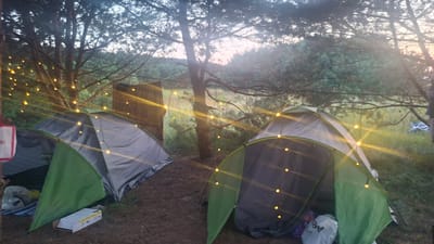 Two camping tents are set up in a wooded area, likely a campsite, with string lights illuminating the scene. The tents are green and grey, and one is partially open. There are some bags and a cardboard box near the tents. The background consists of trees and foliage, with a view of hills in the distance. The sky is a soft pink and orange, suggesting it is either dawn or dusk. The overall mood is peaceful and serene, indicative of a relaxing outdoor getaway. There is no visible text in the image. The location is identified as Navasvyrazhanski Sel'ski Savet, Belarus.