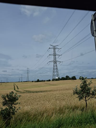 This image depicts a wide shot of a rural landscape in Strzelewo, Poland, under a cloudy sky. The foreground is dominated by tall, dry grass, with a small, leafy tree on the right side. Beyond the grass, a vast field of golden wheat or similar crop stretches into the distance. Several large, metal electricity pylons, supporting power lines, are prominent features in the middle ground and background, diminishing in size with distance. Tire tracks are visible forming a path through the wheat field. A road sign pole is partially visible on the far right edge of the frame. The environment suggests an agricultural area with significant infrastructure for power transmission.