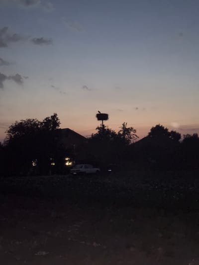 The image depicts a rural scene at dusk or dawn. Silhouetted against a gradient sky transitioning from pale blue to soft orange, a stork stands on its nest atop a tall pole. Below the nest, the dark outlines of trees and buildings are visible. Lights glow from the windows of what appears to be a house, and a light-colored car is parked in front of it. The foreground is a dark, unlit expanse, likely a field or yard. The image was taken in the village of Chyshky, Ukraine.