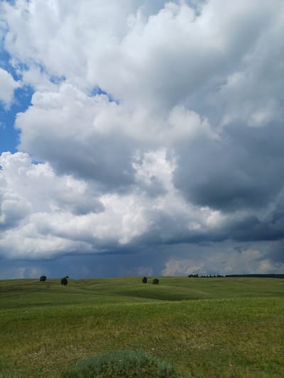 This image depicts a wide, rolling green landscape under a dramatic sky filled with a mix of bright white and dark gray clouds. The foreground is a grassy field with a slightly blurred texture, suggesting wind or movement. In the mid-ground, gently sloping hills are covered in lush green grass. Several scattered trees are visible on these hills, appearing as small, dark silhouettes. In the distance, a treeline marks the horizon. The sky is a dominant feature, with heavy, dark storm clouds gathering in the upper right portion of the frame, contrasting with patches of bright blue sky and lighter, fluffier clouds in the upper left. The overall impression is one of natural beauty and the impending arrival of a storm. No people or specific man-made structures other than the trees are identifiable. The location is identified as Nigamatovo, Russia.