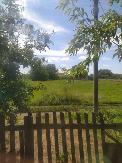 The image depicts a rural scene in Taranivka, Ukraine, on a bright, sunny day. In the foreground, a weathered wooden fence with vertical slats runs horizontally across the lower portion of the frame. Beyond the fence lies a lush green meadow dotted with taller grass and some dry vegetation on the ground. A solitary concrete utility pole stands tall in the mid-ground, to the right of center, with power lines stretching across the sky. The upper part of the image is dominated by a vibrant blue sky with scattered white, wispy clouds and bright sun glare. Lush green foliage from trees frames the scene from the left and the right. The overall impression is one of a peaceful, rustic summer landscape. There are no people or animals visible in the image.